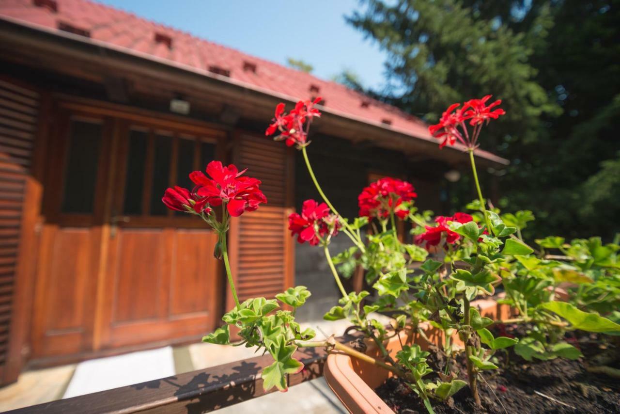 Cabin In The Woods Vukelic Stubicke Toplice Екстер'єр фото